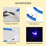 Pet Collars Glowing Luminous Safety Flashing