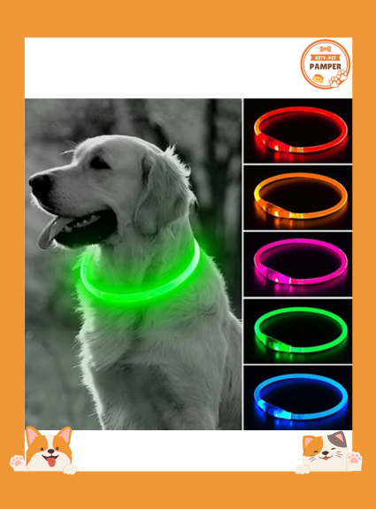 Pet Collars Glowing Luminous Safety Flashing