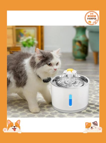 GlowFlow: LED lit Automatic Pet Water Fountain with USB for Cats and Dogs