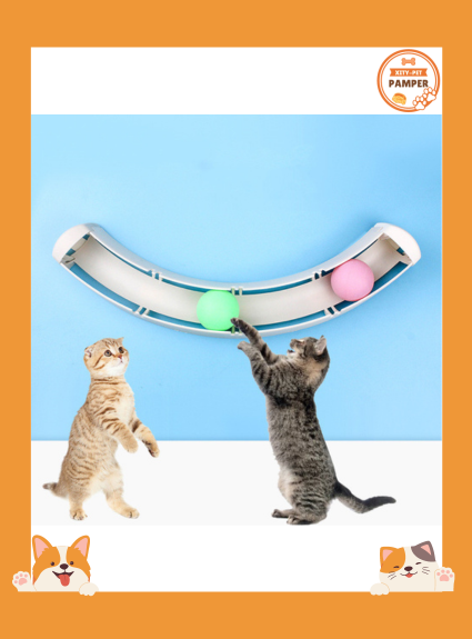 Cat Sucker Track Ball Cat Ball