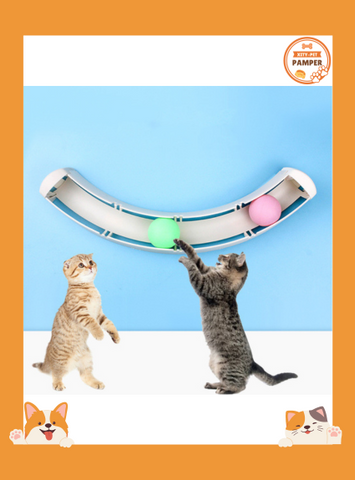 Cat Sucker Track Ball Cat Ball