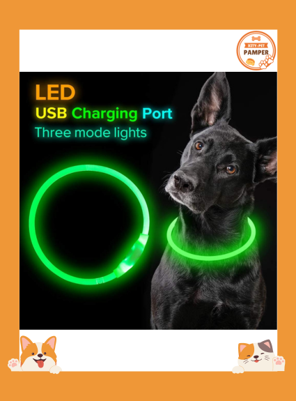 SafeGlow USB Rechargeable Flashing Collar for Nighttime Pet Walks
