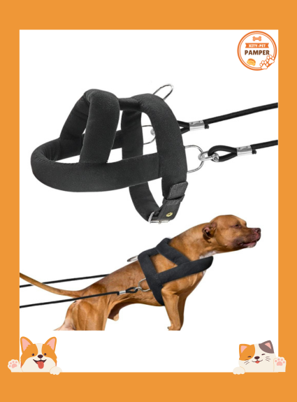 Dog Weight Pulling Harness & Leash Set: Durable Padded for Training Large Dogs