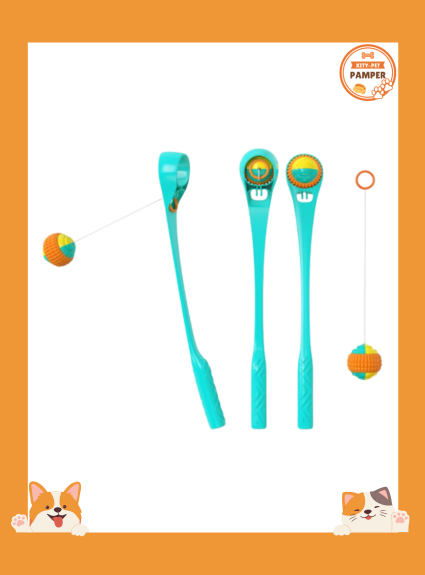 Multifunction Sport Ball Pet Toy Dog Toys Tennis Ball Pet Products