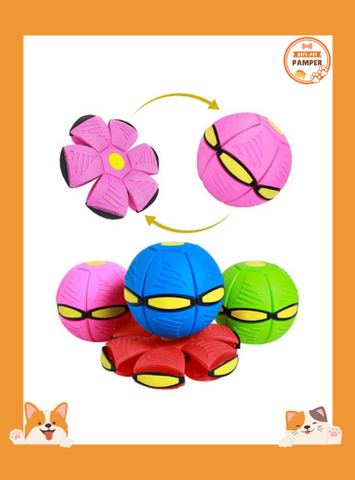 Futuristic Saucer Ball Innovative Dog Training Toy