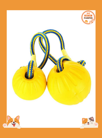 Indestructible Solid Rubber Ball Ultimate Dog Training & Play Toy