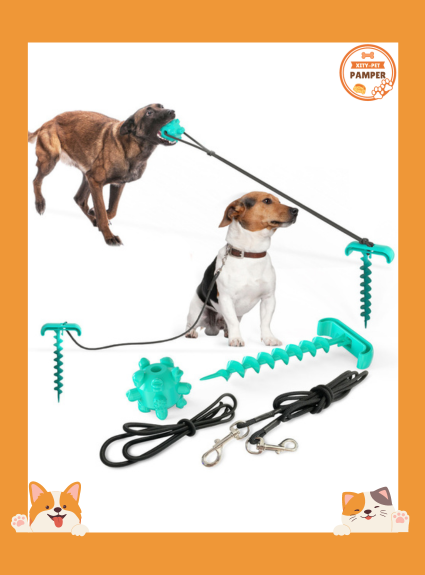 Tie Dog Leash Dog Toy