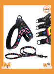 Vibrant Walks Colorful Leash for Small and Medium Dogs
