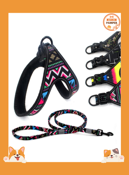 Vibrant Walks Colorful Leash for Small and Medium Dogs