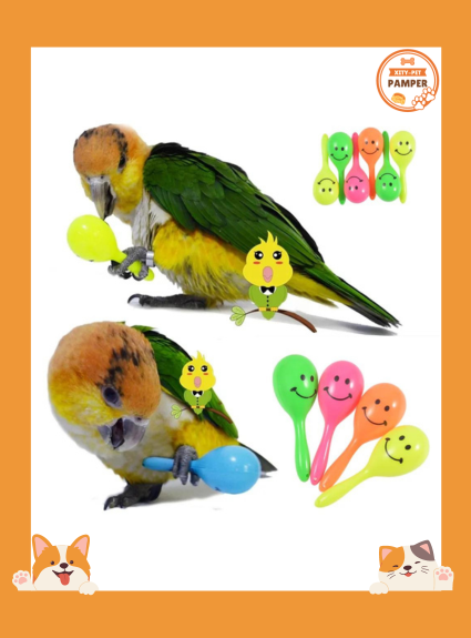 Interactive Parrot Sand Toys Set of 3