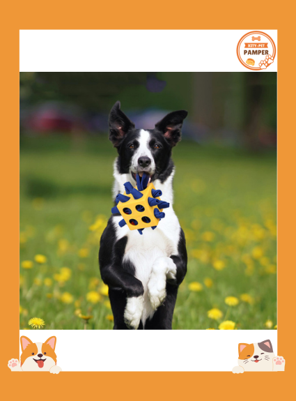 Dog Cube Molar Long Lasting Educational Toys Pet Products