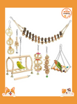 Parrot Training Toy Set 8 Piece Wooden Bird Toys