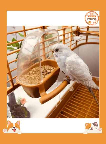 Parakeet Hanging Water Bowl Bird Cage Feeder