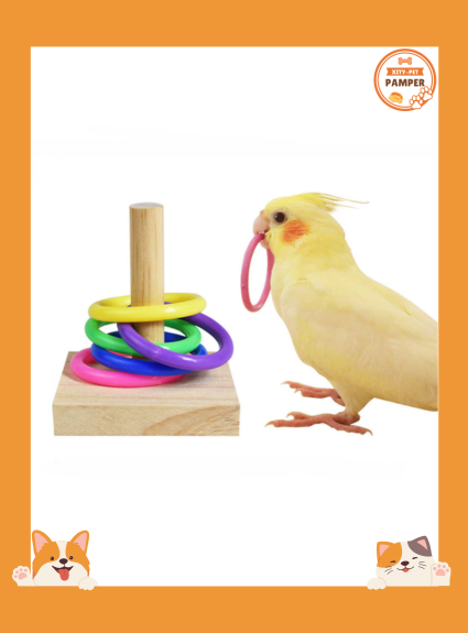 Wooden Block Puzzle Bird Toys Training Set
