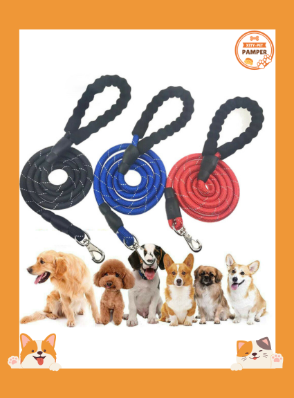 Run Buddy Reflective Hands Free Dog Leash with Adjustable Waist and Padded Handle