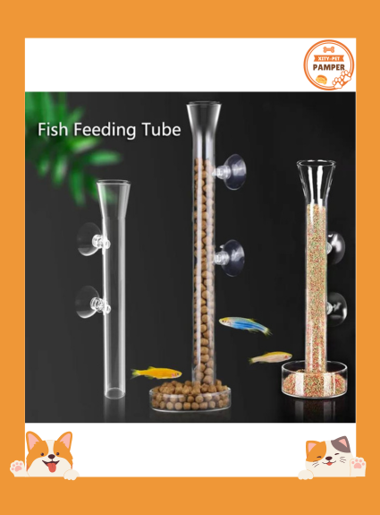Transparent Glass Aquarium Feeder Bowl Shrimp & Snail Feeder