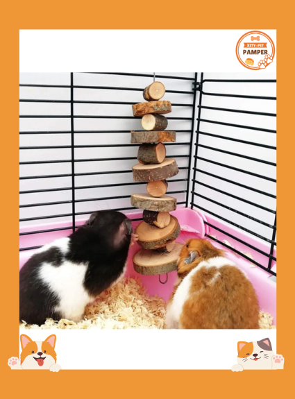 Organic Apple Wood Chew Toy Small Animal Snack