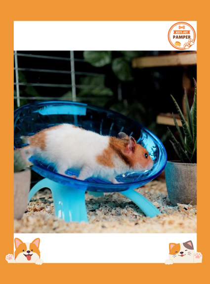 Pet Hamster Flying Saucer Exercise Squirrel Wheel Hamster Mouse Running Disc