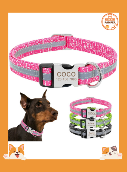 Dog Collar Pet Tag Puppy Cat Nameplate ID Collars Adjustable