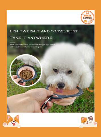 Collapsible Dog Bowls: Portable & Foldable Silicone Cups for Pets