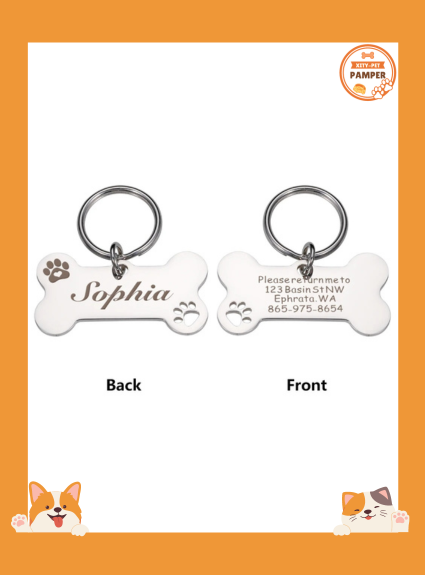 Anti lost Personalized Pet Identity Tag Dog Collar