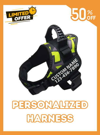 Custom Dog Harness Adjustable Neck Strip & Chest Strip Dog Harness