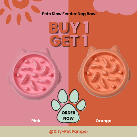 Pets Slow Feeder Dog Bowl