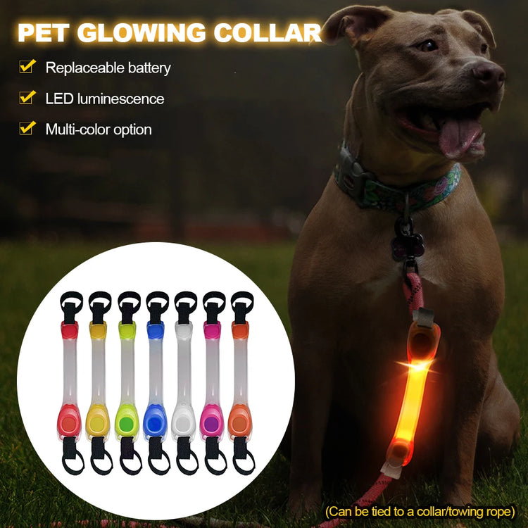 Dog Anti Lost Safety Glowing Collar