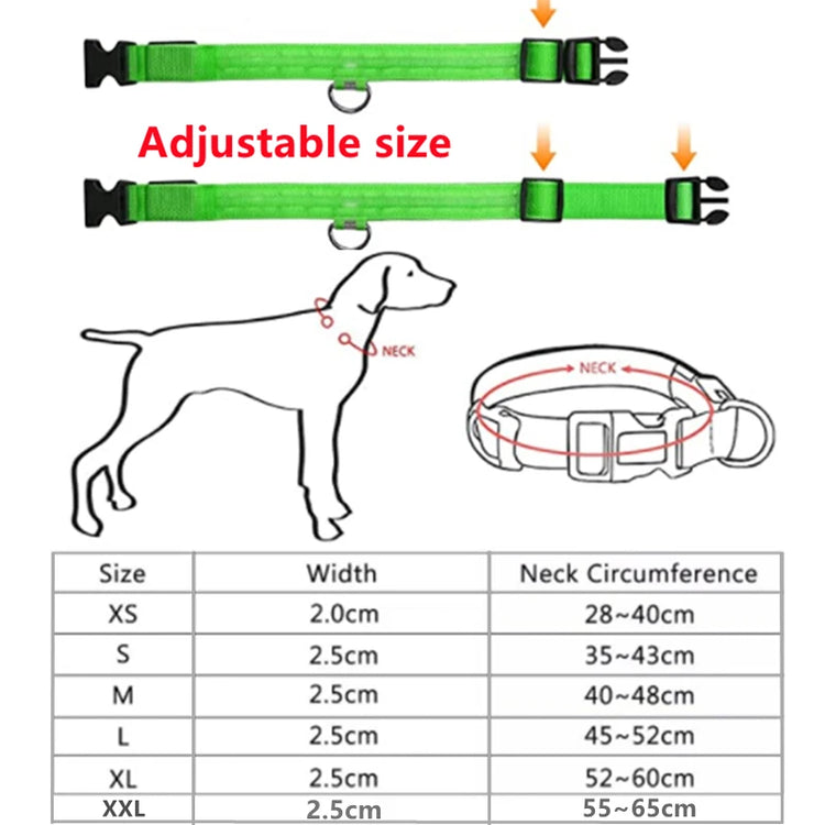 Dog Collar LED Glowing