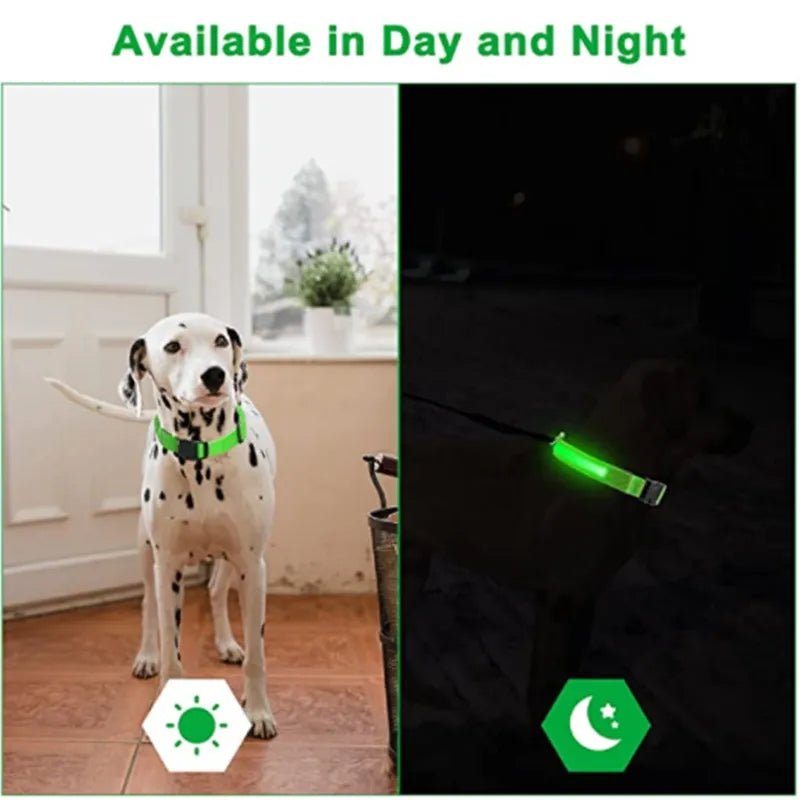 Dog Collar LED Glowing