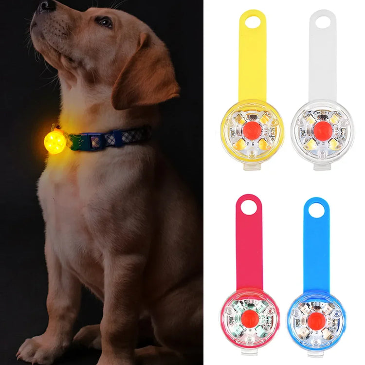 Dogs Collars Anti Loss Pendant Waterproof