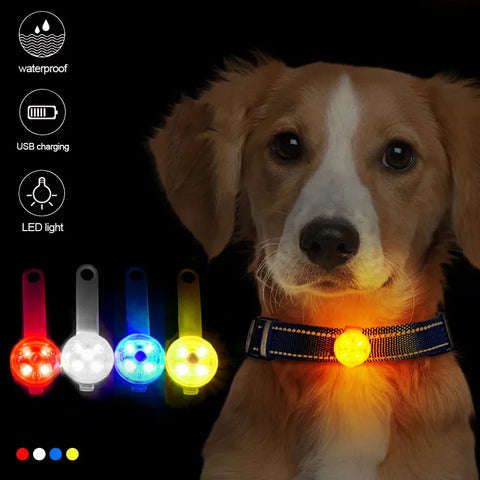 Dogs Collars Anti Loss Pendant Waterproof