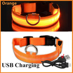 Dog Collar LED Glowing