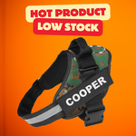 Personalized No Pull Dog Harness