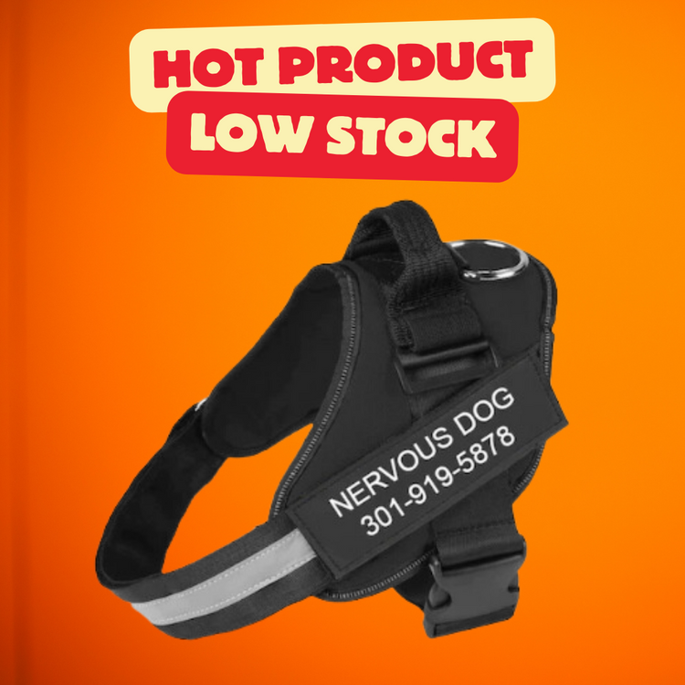 Personalized No Pull Dog Harness