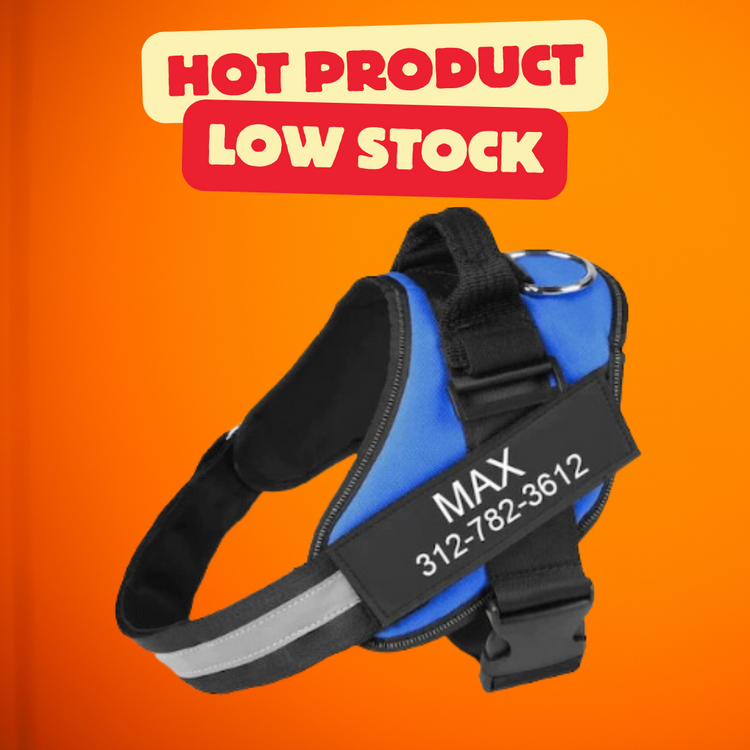Personalized No Pull Dog Harness
