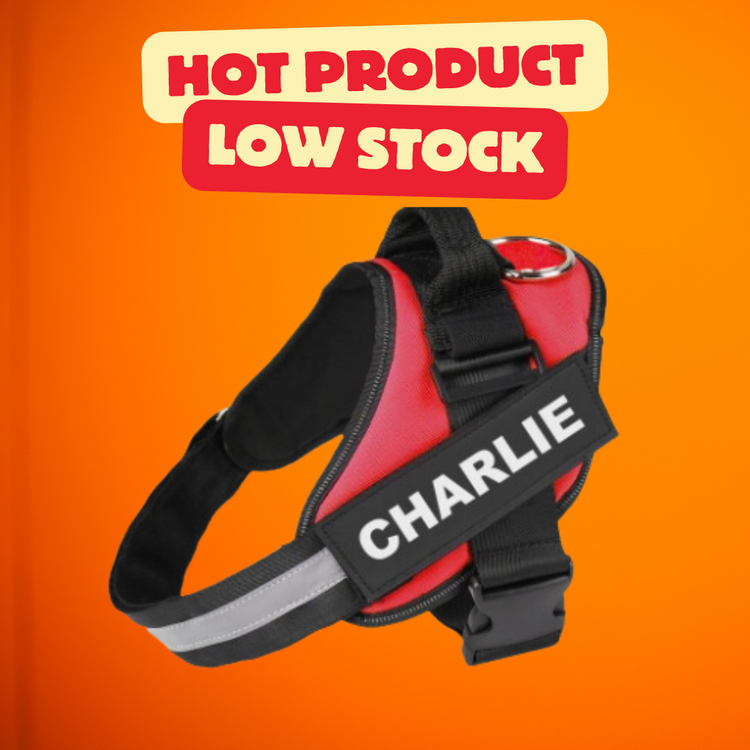 Personalized No Pull Dog Harness