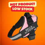 Personalized No Pull Dog Harness