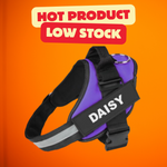 Personalized No Pull Dog Harness