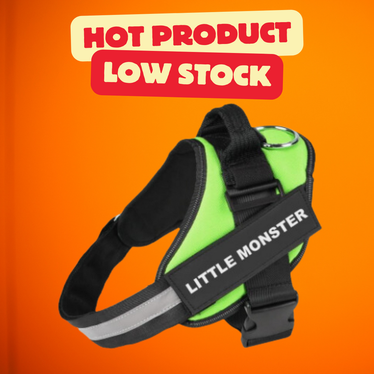 Personalized No Pull Dog Harness