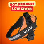 Personalized No Pull Dog Harness