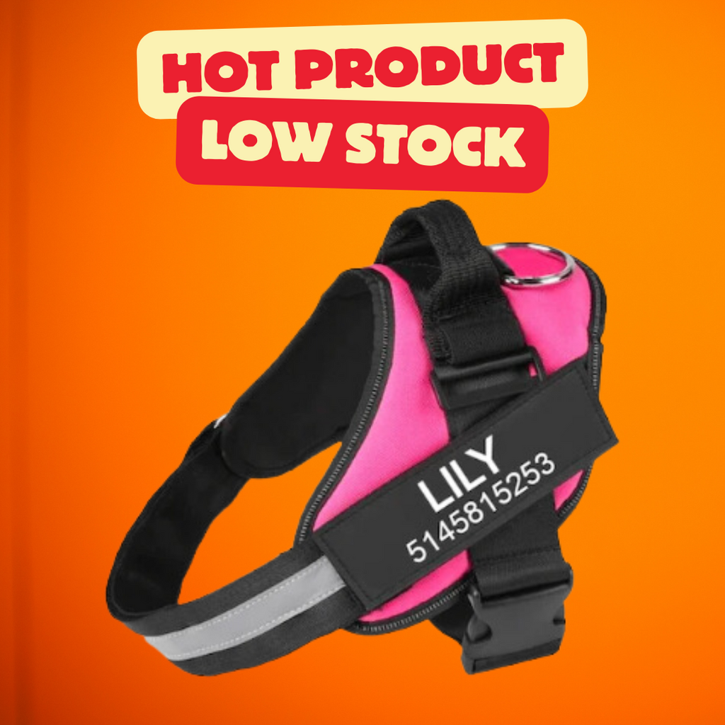 Personalized No Pull Dog Harness
