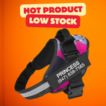 Personalized No Pull Dog Harness