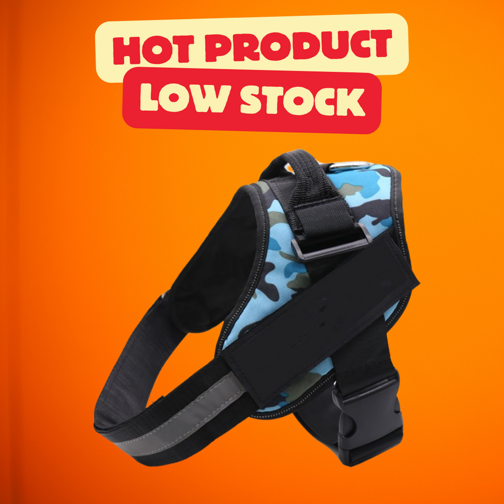 Personalized No Pull Dog Harness