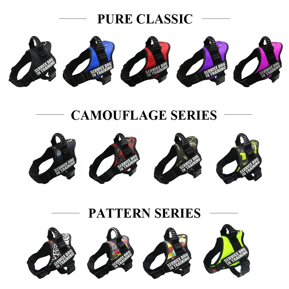 Custom Dog Harness Adjustable Neck Strip & Chest Strip Dog Harness