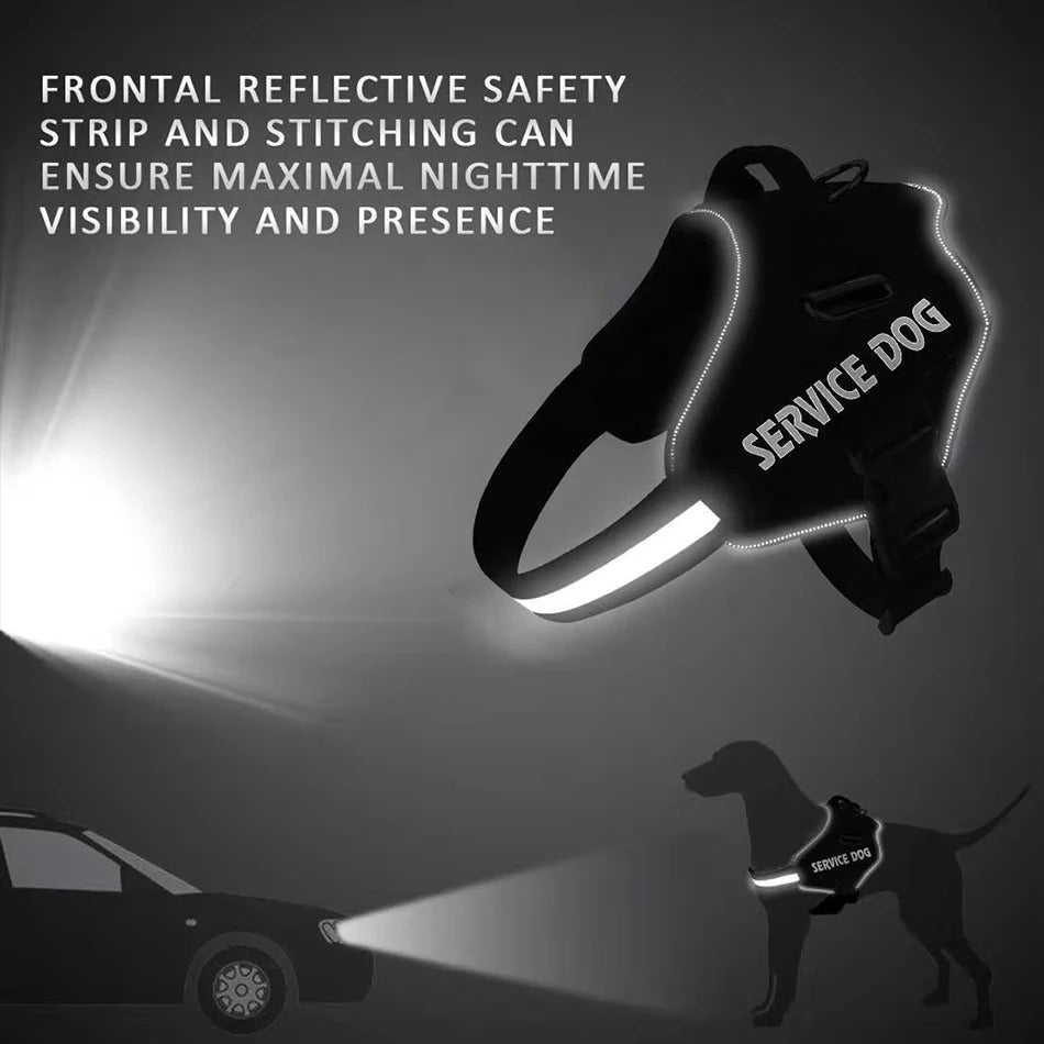 Personalized No Pull Dog Harness