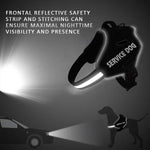 Personalized No Pull Dog Harness