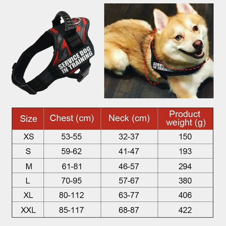 Custom Dog Harness Adjustable Neck Strip & Chest Strip Dog Harness