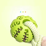 Engage & Clean Bite Resistant Interactive Hemp Rope & Rubber Treat Balls for Dogs Ideal for Chewing and Dental Health