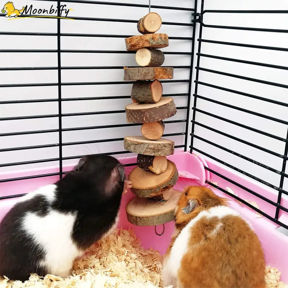 Natural Organic Apple Wood Chew Toy Small Animal Snack Toys Suitable for Rabbits Chinchilla Guinea Pigs Hamsters Smallanimal Toy